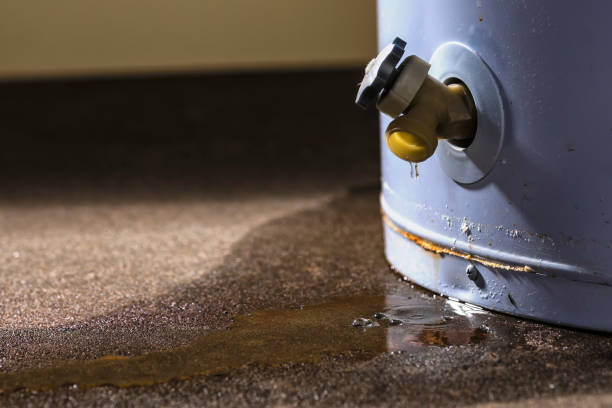 Best Water damage contractors near me  in Glastonbury Center, CT