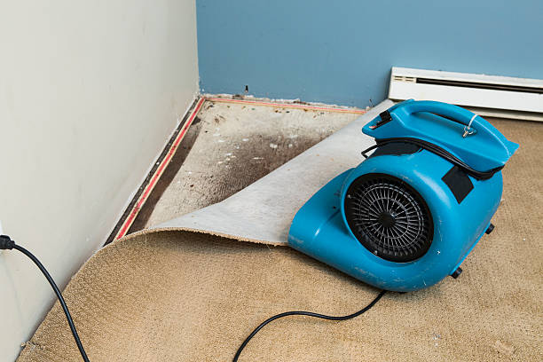 Best Water damage restoration mold remediation  in Glastonbury Center, CT